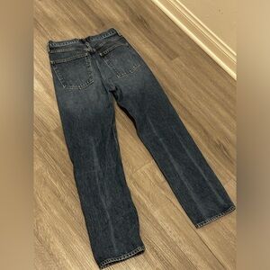 Agolde 90’s High Rise Loose Fit in Placebo A069H-811 Buttonfly Jeans